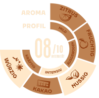 Origins UgandaKenya 2  2